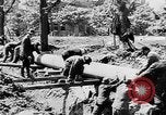 Image menace de la peste Allemagne, 1945, de la seconde 38 séquences d'archives historiques vidéo 65675068489