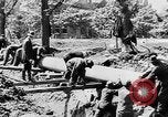 Image menace de la peste Allemagne, 1945, de la seconde 39 séquences d'archives historiques vidéo 65675068489