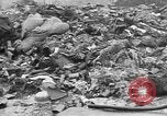 Image menace de la peste Allemagne, 1945, de la seconde 41 séquences d'archives historiques vidéo 65675068489