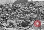 Image menace de la peste Allemagne, 1945, de la seconde 44 séquences d'archives historiques vidéo 65675068489