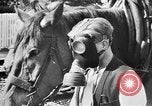Image menace de la peste Allemagne, 1945, de la seconde 56 séquences d'archives historiques vidéo 65675068489