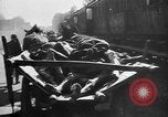 Image menace de la peste Allemagne, 1945, de la seconde 57 séquences d'archives historiques vidéo 65675068489