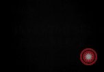 Image of Tierpark Hagenbeck zoo Hamburg Germany, 1945, second 1 stock footage video 65675068493