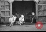 Image of Tierpark Hagenbeck zoo Hamburg Germany, 1945, second 10 stock footage video 65675068493