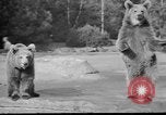 Image of Tierpark Hagenbeck zoo Hamburg Germany, 1945, second 17 stock footage video 65675068493