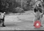 Image of Tierpark Hagenbeck zoo Hamburg Germany, 1945, second 18 stock footage video 65675068493