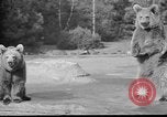 Image of Tierpark Hagenbeck zoo Hamburg Germany, 1945, second 19 stock footage video 65675068493