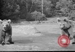 Image of Tierpark Hagenbeck zoo Hamburg Germany, 1945, second 20 stock footage video 65675068493