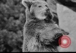 Image of Tierpark Hagenbeck zoo Hamburg Germany, 1945, second 23 stock footage video 65675068493