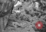 Image of Tierpark Hagenbeck zoo Hamburg Germany, 1945, second 58 stock footage video 65675068493