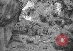 Image of Tierpark Hagenbeck zoo Hamburg Germany, 1945, second 59 stock footage video 65675068493
