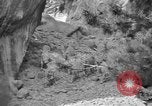 Image of Tierpark Hagenbeck zoo Hamburg Germany, 1945, second 61 stock footage video 65675068493