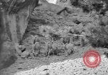 Image of Tierpark Hagenbeck zoo Hamburg Germany, 1945, second 62 stock footage video 65675068493