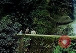 Immagine di Paesaggio Guatemala, 1946, secondo 23 filmato di repertorio 65675068498
