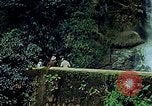 Immagine di Paesaggio Guatemala, 1946, secondo 25 filmato di repertorio 65675068498