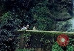 Immagine di Paesaggio Guatemala, 1946, secondo 29 filmato di repertorio 65675068498