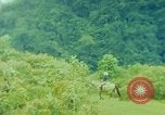 Standbild Besichtiger Guatemala, 1946, aus Sekunde 38 historischem Filmmaterial Videoclip 65675068501