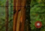 Standbild Flora Guatemala, 1946, aus Sekunde 1 historischem Filmmaterial Videoclip 65675068502