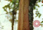 Standbild Flora Guatemala, 1946, aus Sekunde 6 historischem Filmmaterial Videoclip 65675068502