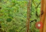 Standbild Flora Guatemala, 1946, aus Sekunde 10 historischem Filmmaterial Videoclip 65675068502