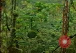 Standbild Flora Guatemala, 1946, aus Sekunde 11 historischem Filmmaterial Videoclip 65675068502
