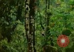 Standbild Flora Guatemala, 1946, aus Sekunde 13 historischem Filmmaterial Videoclip 65675068502