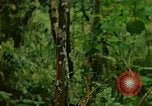 Standbild Flora Guatemala, 1946, aus Sekunde 14 historischem Filmmaterial Videoclip 65675068502