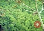 Immagine di Gli osservatori e i lavoratori indiani Guatemala, 1946, secondo 27 filmato di repertorio 65675068503