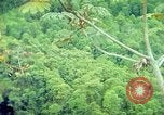 Immagine di Gli osservatori e i lavoratori indiani Guatemala, 1946, secondo 28 filmato di repertorio 65675068503