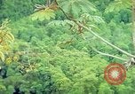 Immagine di Gli osservatori e i lavoratori indiani Guatemala, 1946, secondo 29 filmato di repertorio 65675068503