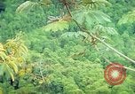 Immagine di Gli osservatori e i lavoratori indiani Guatemala, 1946, secondo 30 filmato di repertorio 65675068503