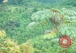 Immagine di Gli osservatori e i lavoratori indiani Guatemala, 1946, secondo 33 filmato di repertorio 65675068503