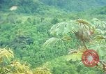 Immagine di Gli osservatori e i lavoratori indiani Guatemala, 1946, secondo 34 filmato di repertorio 65675068503