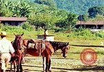 Immagine di Gli osservatori e i lavoratori indiani Guatemala, 1946, secondo 41 filmato di repertorio 65675068503