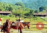 Immagine di Gli osservatori e i lavoratori indiani Guatemala, 1946, secondo 42 filmato di repertorio 65675068503