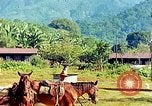 Immagine di Gli osservatori e i lavoratori indiani Guatemala, 1946, secondo 43 filmato di repertorio 65675068503