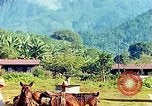 Immagine di Gli osservatori e i lavoratori indiani Guatemala, 1946, secondo 44 filmato di repertorio 65675068503