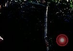 Immagine di Gli osservatori e i lavoratori indiani Guatemala, 1946, secondo 57 filmato di repertorio 65675068503