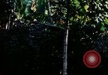 Immagine di Gli osservatori e i lavoratori indiani Guatemala, 1946, secondo 59 filmato di repertorio 65675068503