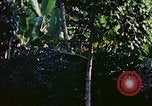 Immagine di Gli osservatori e i lavoratori indiani Guatemala, 1946, secondo 60 filmato di repertorio 65675068503