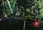 Immagine di Gli osservatori e i lavoratori indiani Guatemala, 1946, secondo 61 filmato di repertorio 65675068503