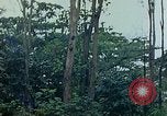 Image of observers and Indian workers Guatemala, 1946, second 12 stock footage video 65675068504