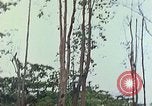 Image of observers and Indian workers Guatemala, 1946, second 17 stock footage video 65675068504