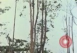 Image of observers and Indian workers Guatemala, 1946, second 18 stock footage video 65675068504