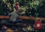 Image of observers and Indian workers Guatemala, 1946, second 24 stock footage video 65675068504