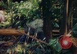 Image of observers and Indian workers Guatemala, 1946, second 29 stock footage video 65675068504