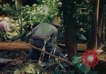 Image of observers and Indian workers Guatemala, 1946, second 30 stock footage video 65675068504