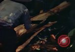 Image of observers and Indian workers Guatemala, 1946, second 35 stock footage video 65675068504