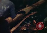 Image of observers and Indian workers Guatemala, 1946, second 37 stock footage video 65675068504