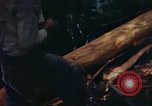 Image of observers and Indian workers Guatemala, 1946, second 44 stock footage video 65675068504
